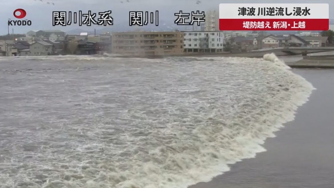 【速報】津波、川逆流し浸水 堤防越え、新潟・上越