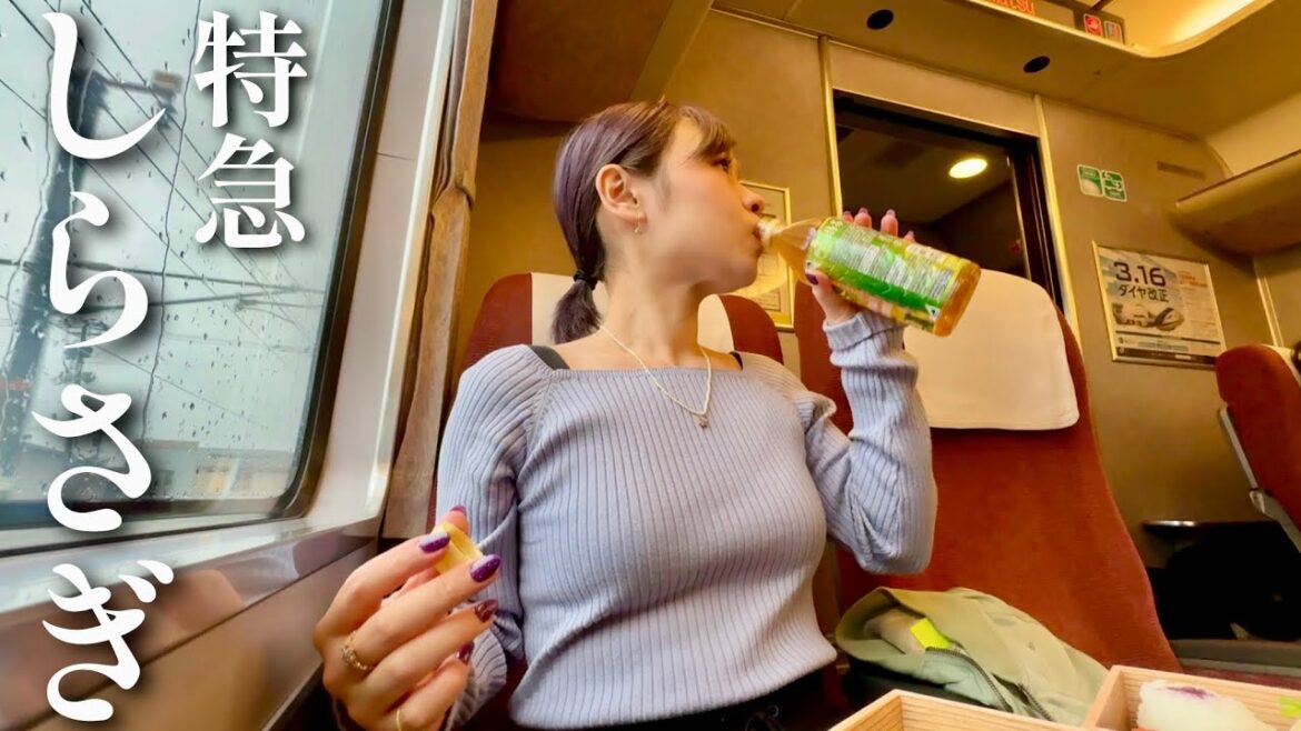 【金沢→名古屋】特急しらさぎ3時間の高級駅弁旅【681系】