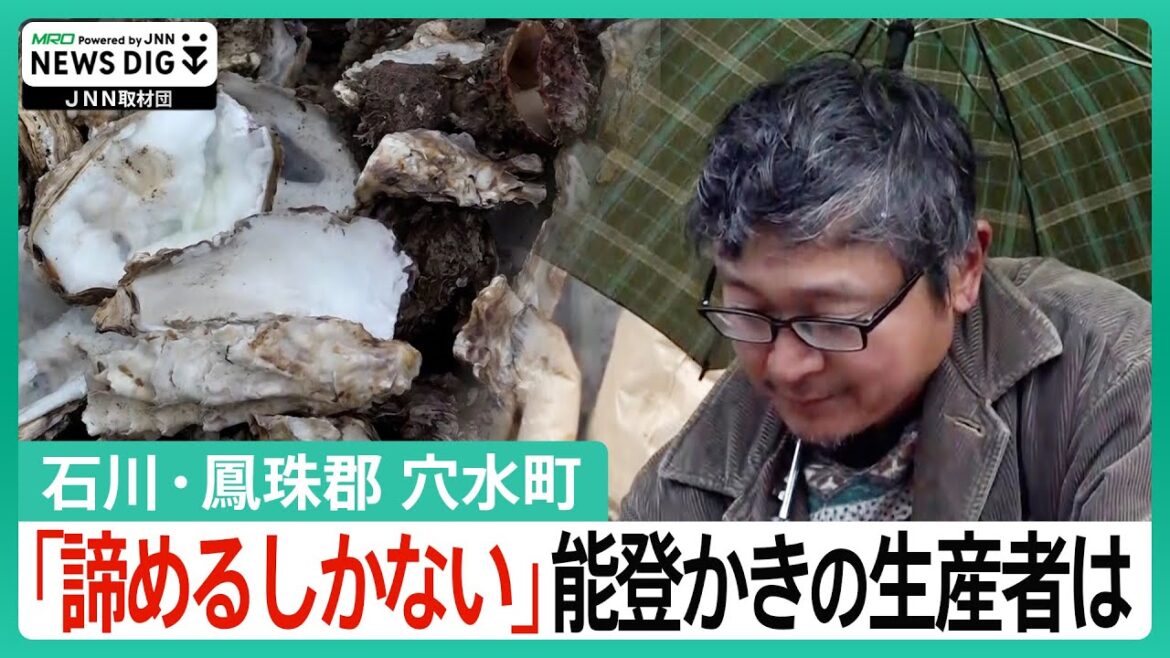 「大変申し訳ないなと思う」断水・停電…「能登かき」の産地に打撃【石川・能登半島地震】