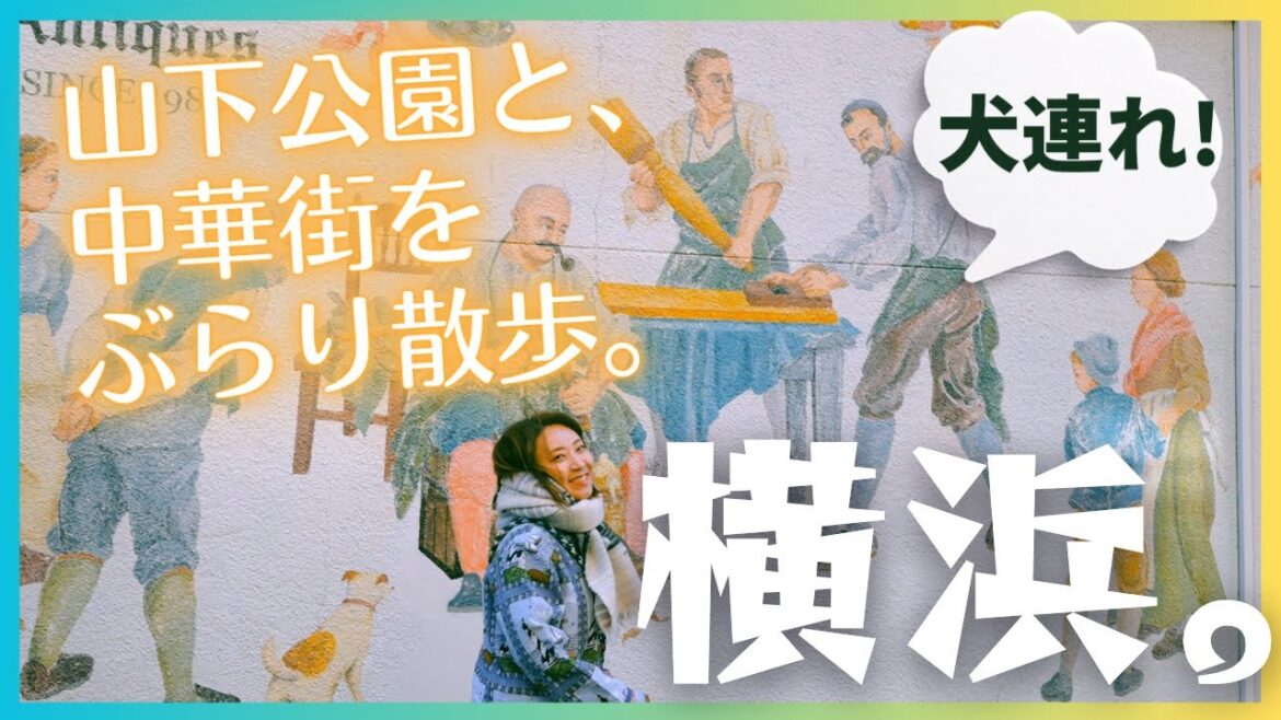 【横浜散歩】久しぶりの横浜街歩き。山下公園と、春節で賑やかな中華街をのんびりお散歩してきました。 【横浜散歩】久しぶりの横浜街歩き。山下公園と、春節で賑やかな中華街をのんびりお散歩してきました。