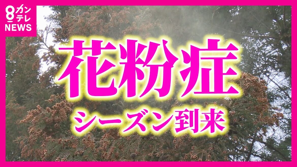 【花粉症】スギ花粉の飛散『ことしは早く多い』 暖冬の影響か『花粉症』早まる すでに4割の人に症状が… 鼻うがい・花粉対策メガネは効果的 医師が解説【関西テレビ】 【花粉症】スギ花粉の飛散『ことしは早く多い』 暖冬の影響か『花粉症』早まる すでに4割の人に症状が… 鼻うがい・花粉対策メガネは効果的 医師が解説【関西テレビ】