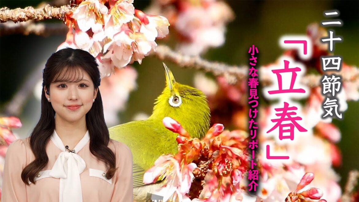 二十四節気「立春」／小さな春見つけたリポート紹介