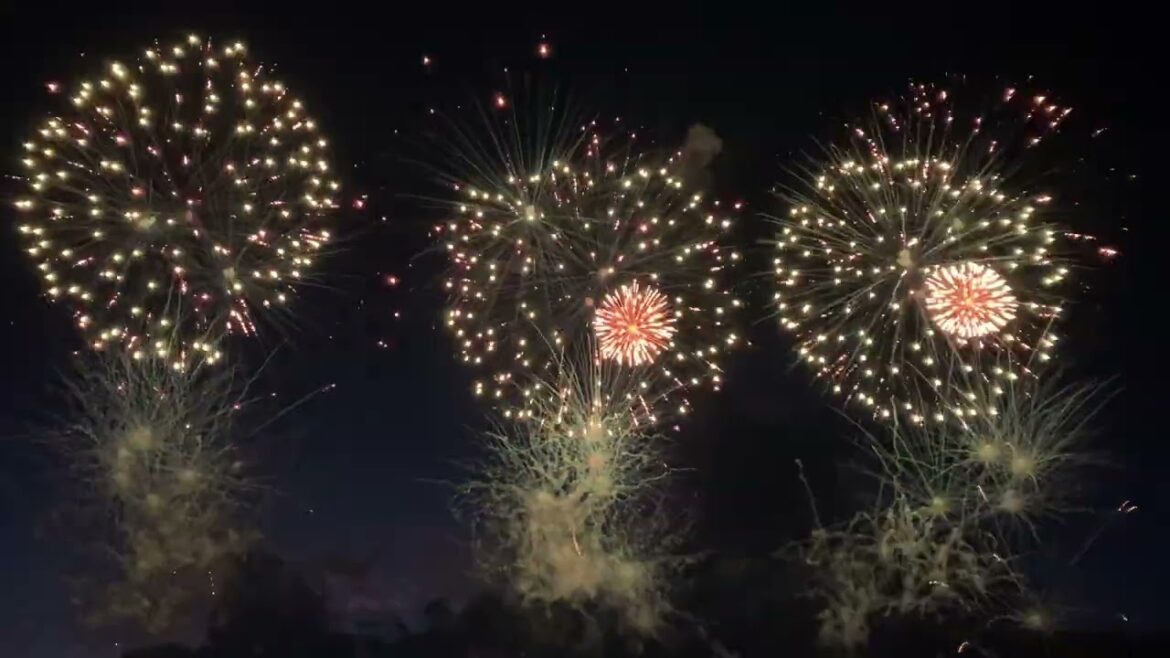 宇都宮花火大会第1部🎆￼