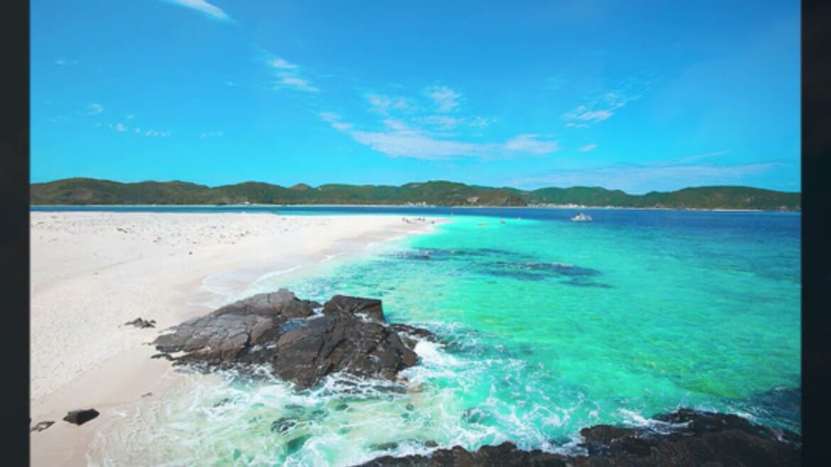 森田健作  /  さらば涙と言おう