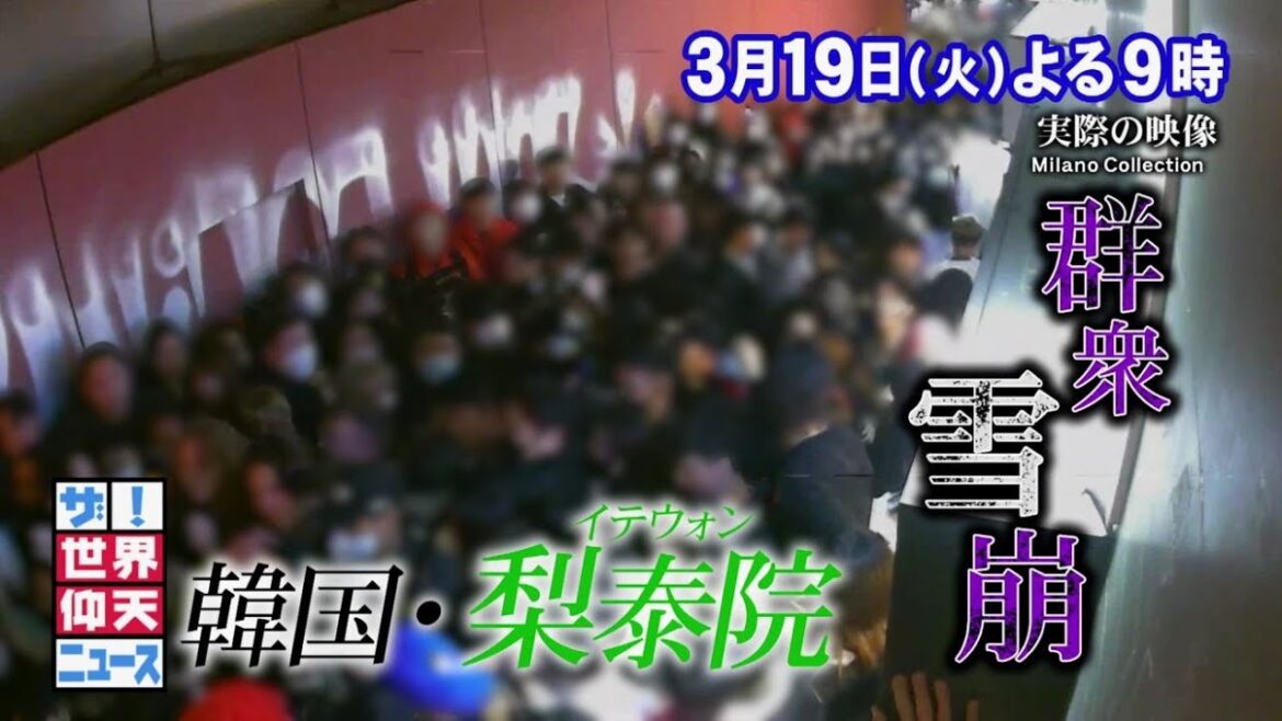 【公式】ザ！世界仰天ニュース　次回は「梨泰院雑踏事故の真実ＳＰ」