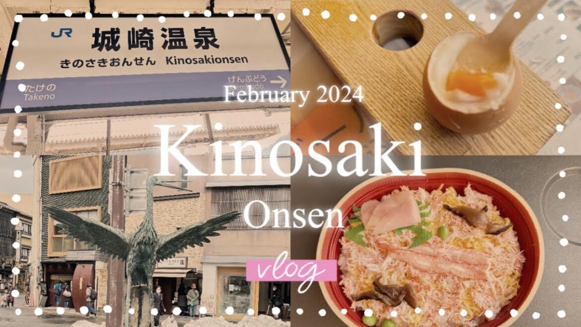【城崎温泉Vlog】1泊2日♨️外湯巡り＆食べ歩き🦀🐟🥚