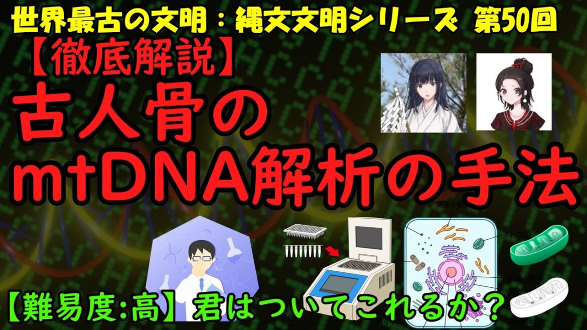 【徹底解説】ミトコンドリアDNA解析の２つの手法【日本人のルーツシリーズ】