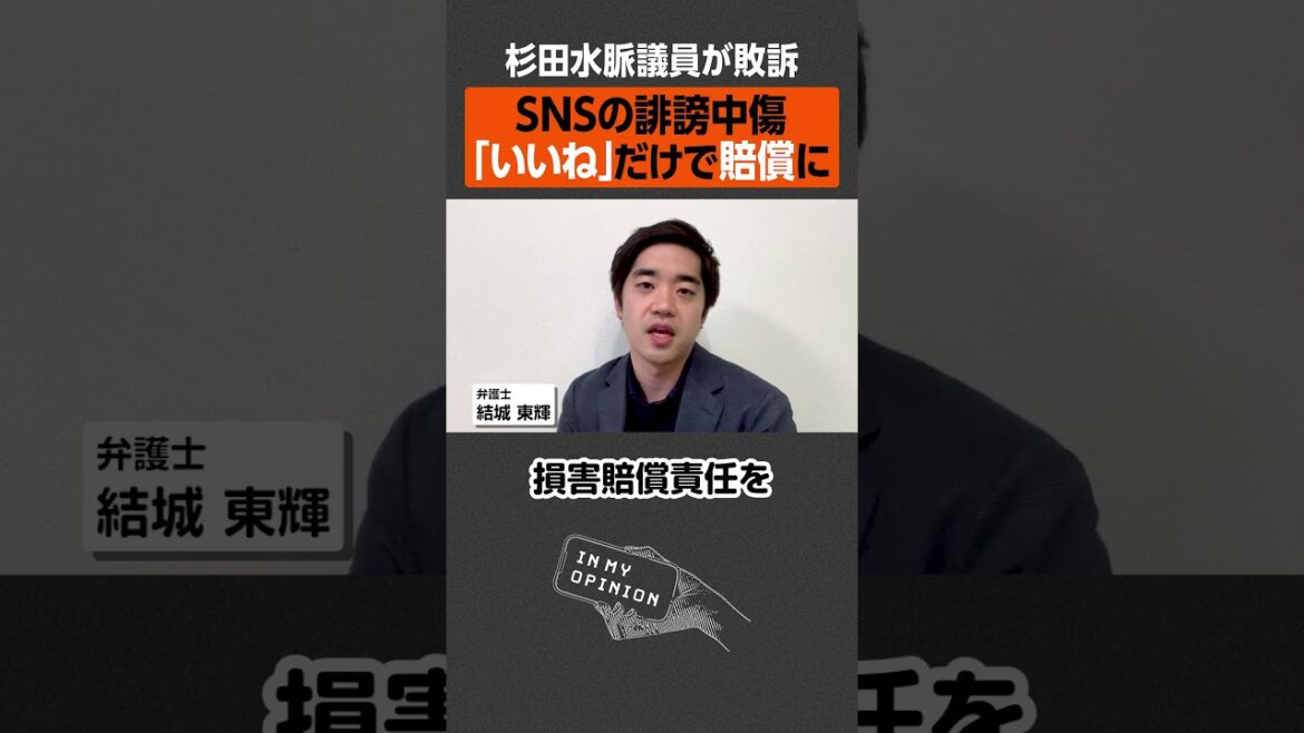 【杉田水脈議員】「いいね」だけで賠償責任？ #shorts