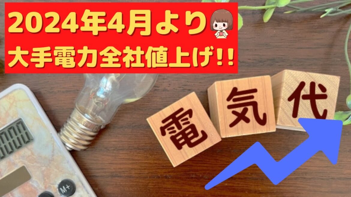 【物価高騰・食糧危機に備える】2024年4月から電気料金の値上げ！！