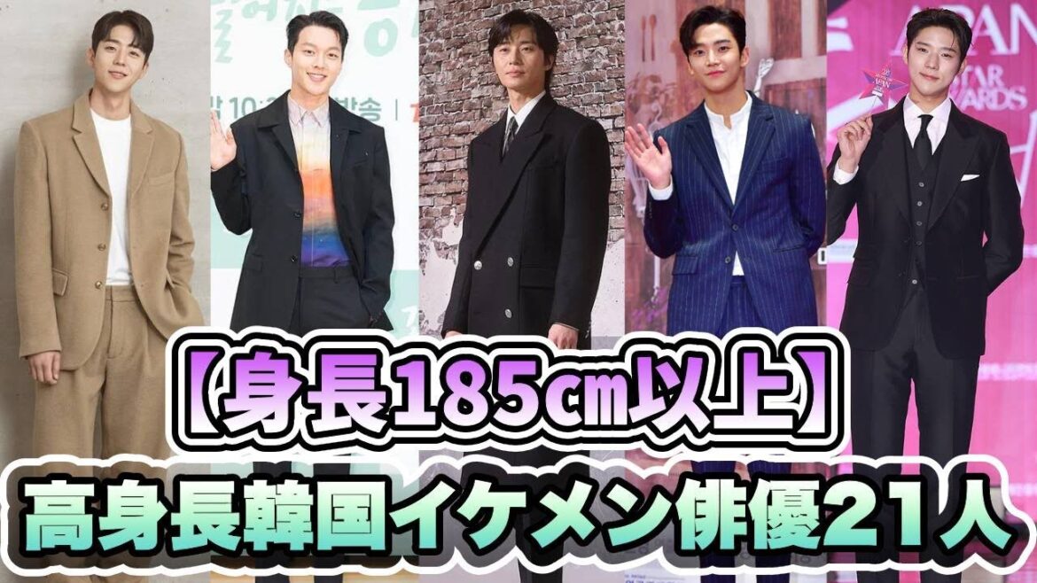 🌟【身長185㎝以上】韓国イケメン俳優21人を紹介🌟