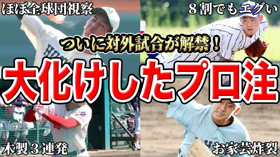 【選抜】【ドラフト】ついに対外試合が解禁！激アツカード＆この冬で大化けした選手を徹底調査SP【高校野球】【竹バット】