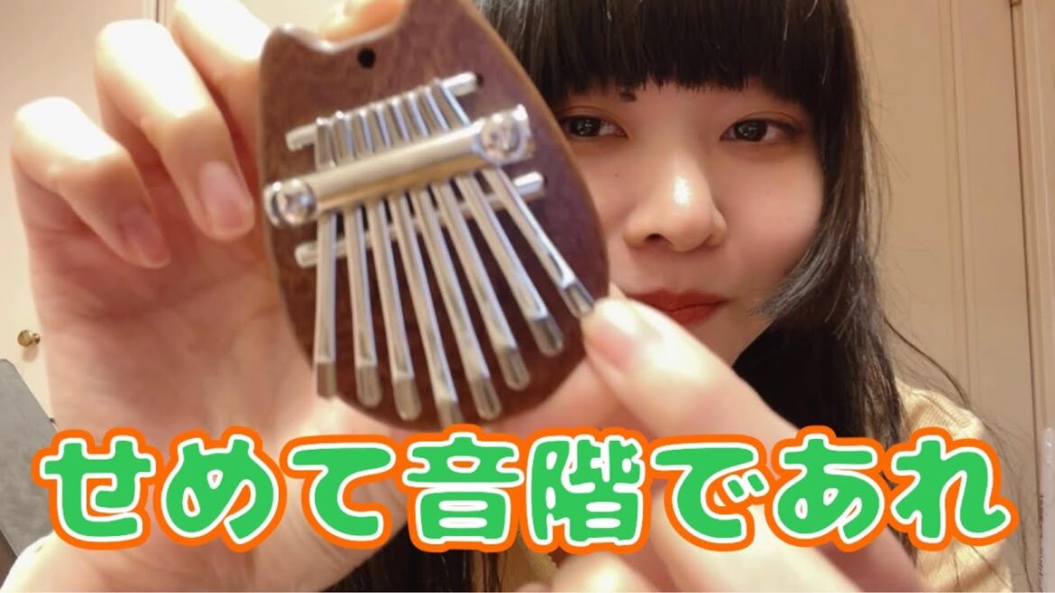【騙された】海外通販サイトに物申す！【カリンバ】