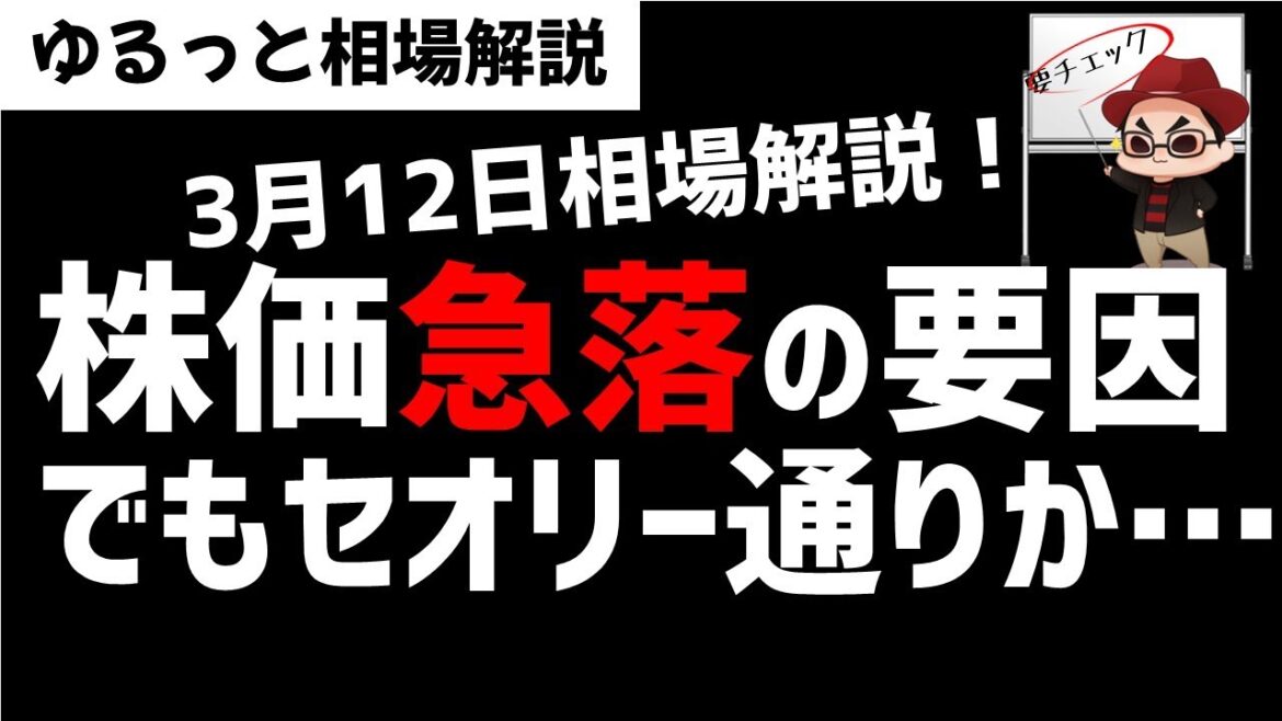 【3月12日のゆるっと相場解説】日経平均株価急落の要因は？相場は教科書どおりの動きか？ズボラ株投資