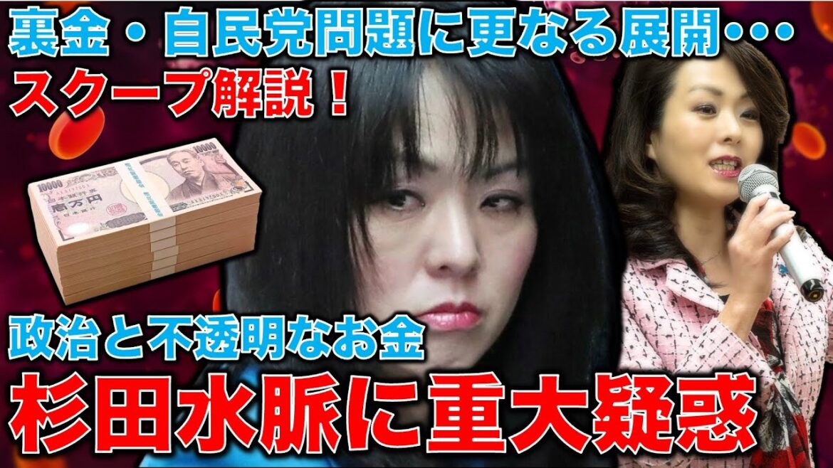 スクープ解説！杉田水脈に重大疑惑！父親が名ばかりの会計責任者。「報告書を見たこともないしハンコも押していない。」と。政治の不透明なお金。元朝日新聞・記者佐藤章さんと一月万冊