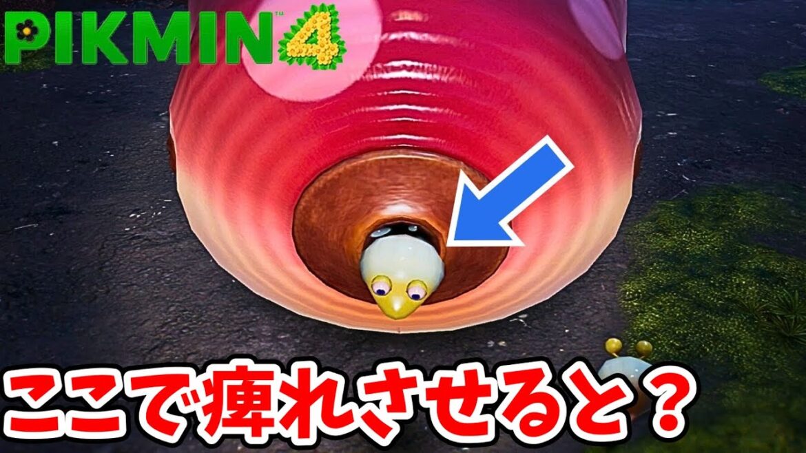 ベビーチャッピーが産まれてくる瞬間に妨害するとどうなるのか？【ピクミン4】