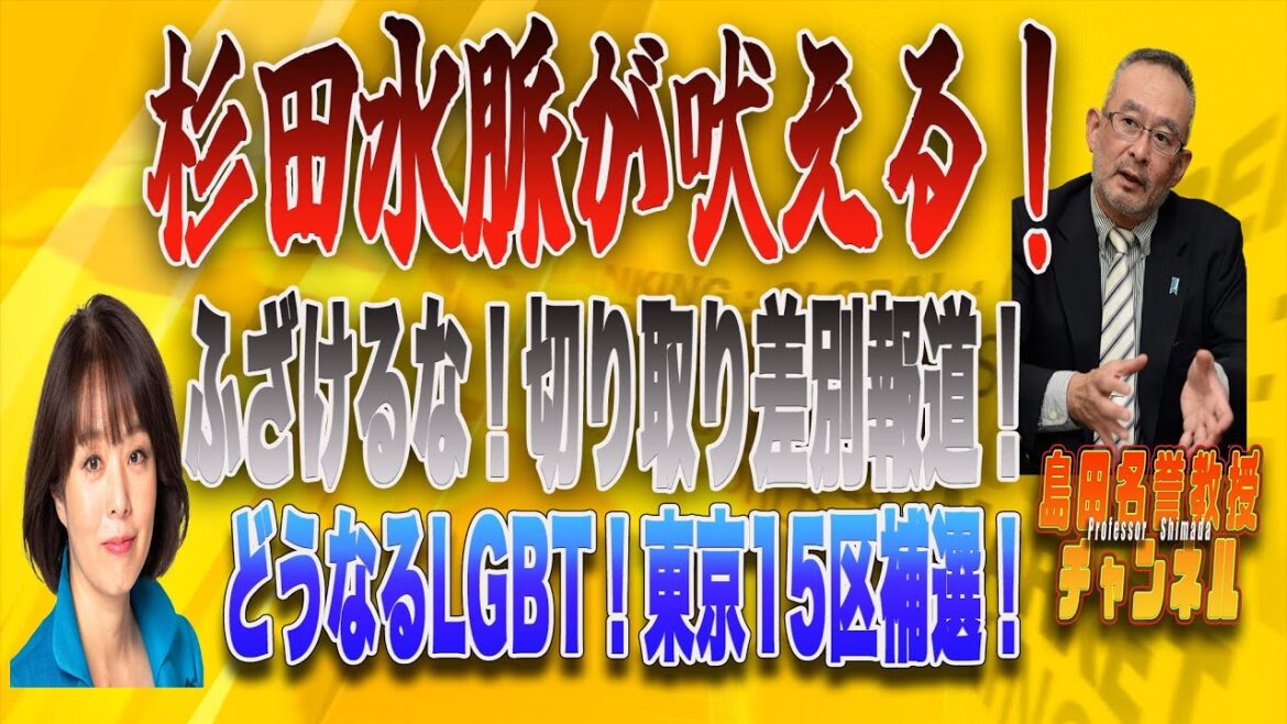 島田名誉教授チャンネルLIVE52　杉田水脈が吠える！ふざけるな！切り取り差別報道！どうなるLGBT!東京15区補選！