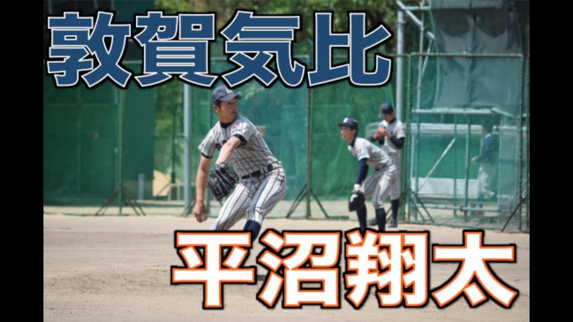 敦賀気比 平沼翔太 ピッチングフォーム集