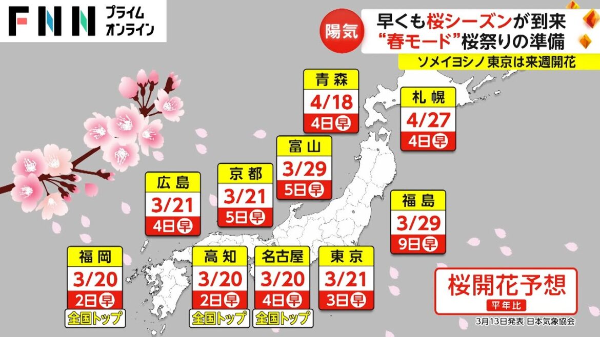 早くも桜シーズンが到来　“春モード”桜祭りの準備　ソメイヨシノ 東京は来週開花