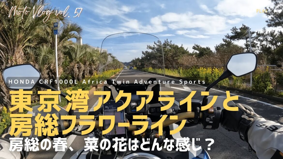 東京湾アクアラインと房総フラワーライン | アロハガーデンと勝浦ビッグひなまつりは最高でした。そして、勝浦のスナックで打ち上げ？