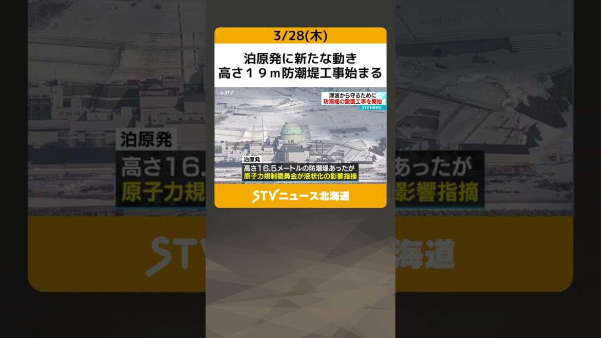 泊原発に新たな動き　高さ１９ｍ防潮堤工事始まる　工事費１８００億・完成３年後目標　液状化影響指摘で #shorts