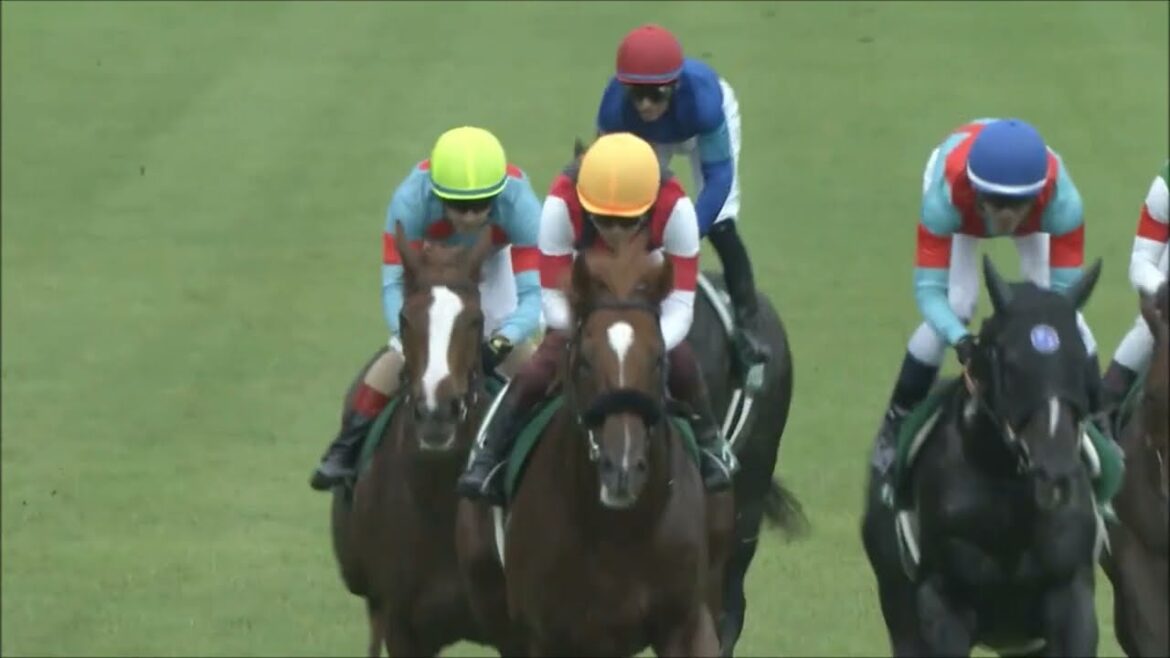 第57回関屋記念(G3)　芝左 外1600m　 ウインカーネリアン　三浦皇成　2022.8.14　　出走馬：ダノンザキッド（川田将雅）、イルーシヴパンサー（木幡巧也）、リアアメリア（菅原明良）他