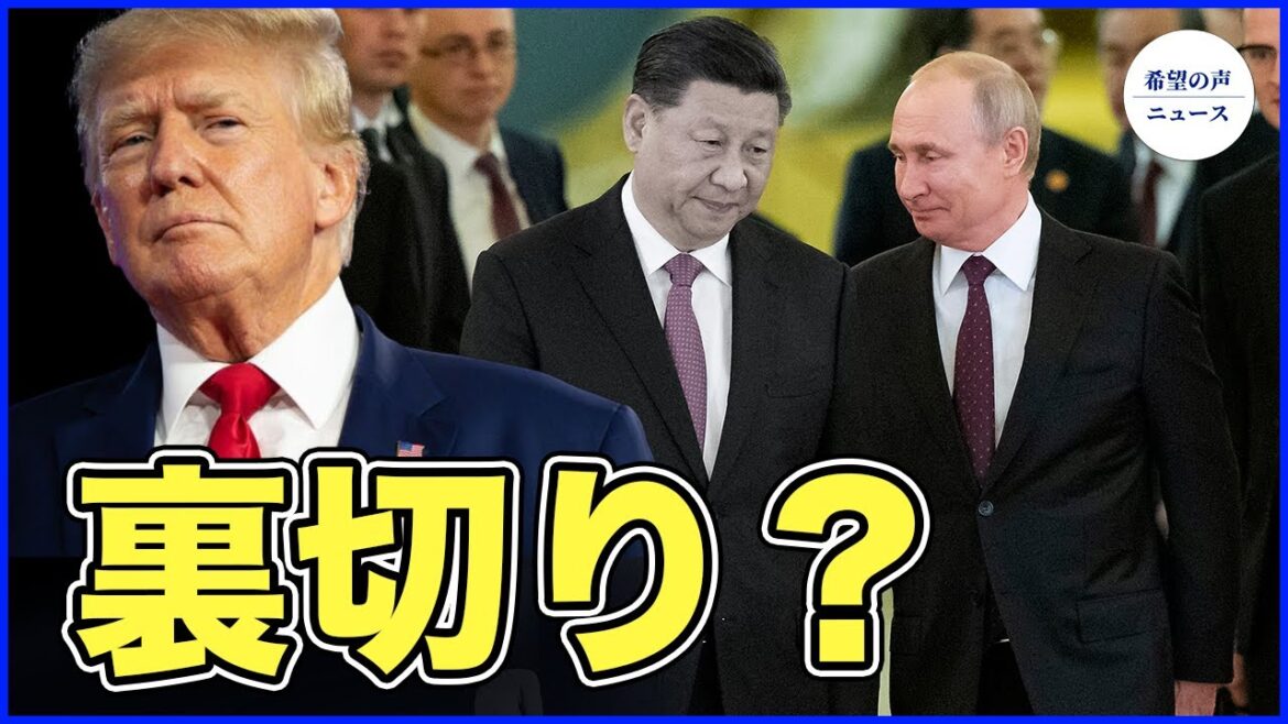 習近平のプーチン裏切り　トランプ氏と関係か？【希望の声ニュース-2024/03/03】
