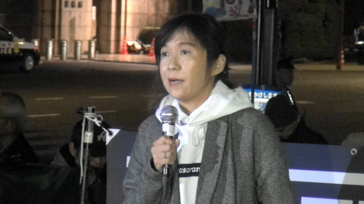 香山リカ氏 スピーチ ［1111再稼働反対！首相官邸前抗議］2016.11.11 @国会正門前