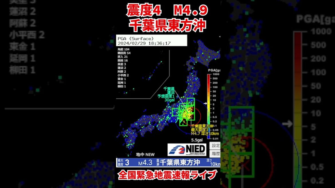 【震度4】千葉県東方沖 M4.9 2024/02/29 18:35ごろ #緊急地震速報 #地震ライブ #地震 #アーカイブ #earthquake #リアルタイム #災害 #減災 #避難準備