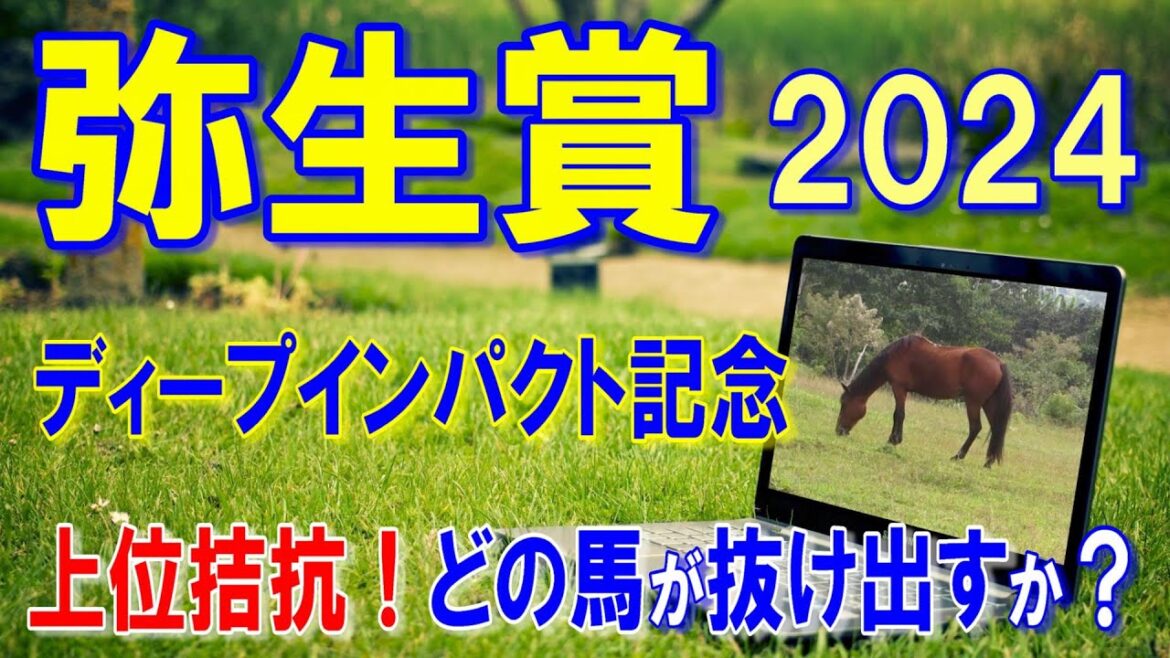 弥生賞ディープインパクト記念２０２４【予想】３連勝で皐月賞へ！？