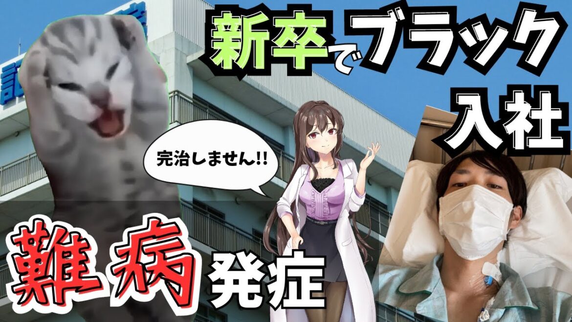 【実話】ゲーム配信者の私が"楽しさ重視"で選択する理由【猫ミーム】難病・潰瘍性大腸炎・炎症性腸疾患｜ブラック企業