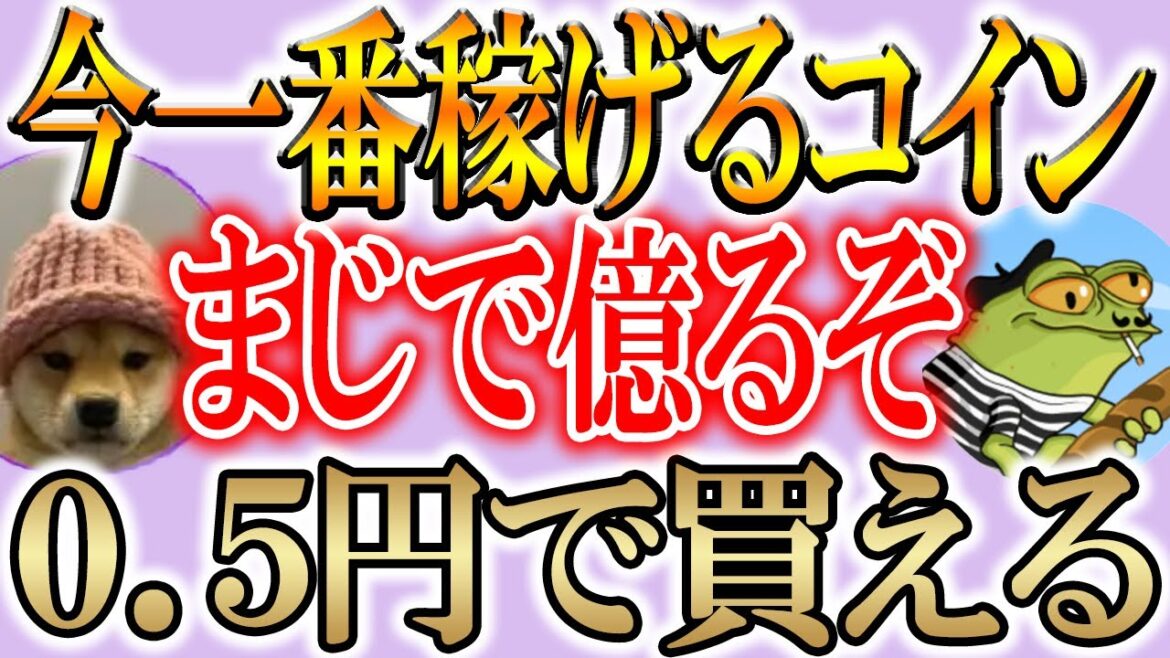 【今すぐ仕込むべき２選!!】少額で億を稼げるコイン教えます！【仮想通貨/暗号資産/dogwifhat/Frogwifhat】