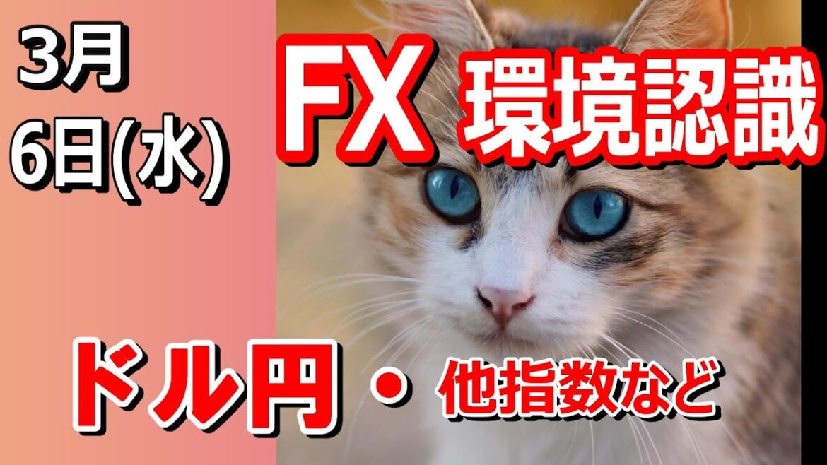 【TAKA FX】ドル円他各通貨の環境認識解説。各種指数、GOLDなど　3月6日(水)