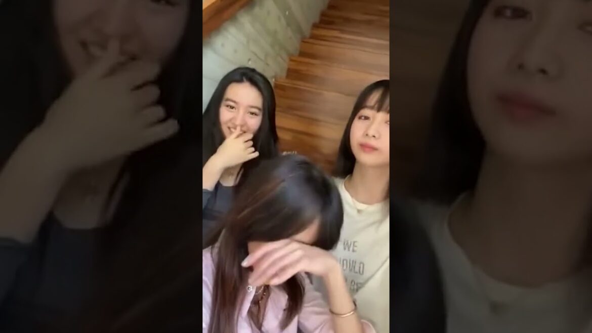 【工藤静香】マミーと3人でゲラゲラ笑う仲良し家族 #cocomi #koki #キムタク #娘 #工藤静香 #Shorts