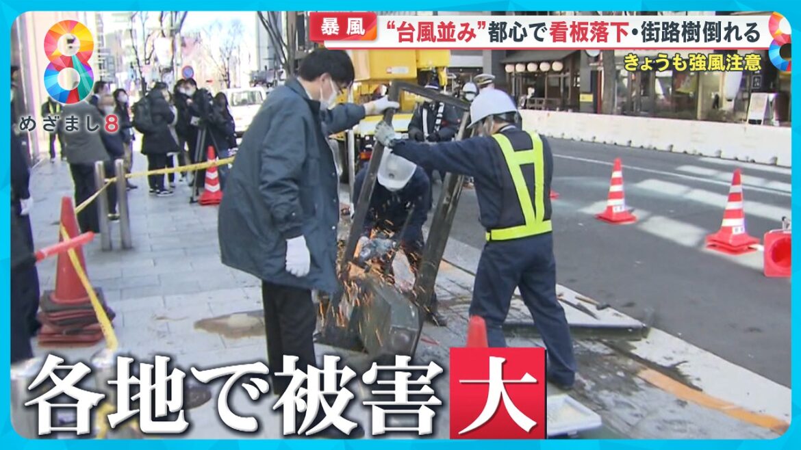 【暴風】“台風並み”の風による被害各地に 火災延焼…街灯倒壊…看板落下【めざまし８ニュース】