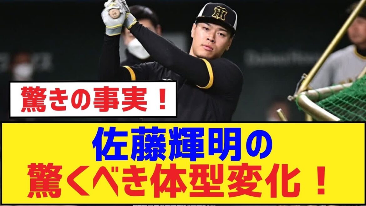 佐藤輝明の驚くべき体型変化!【佐藤輝明・阪神タイガース】 佐藤輝明の驚くべき体型変化!【佐藤輝明・阪神タイガース】