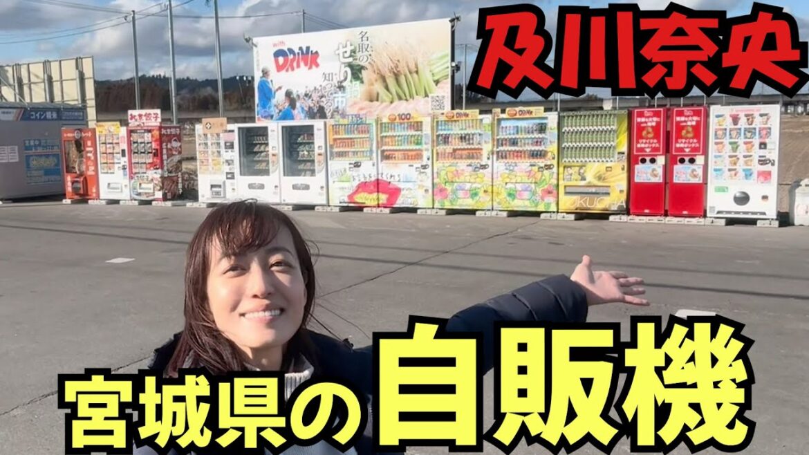 #199  及川奈央「宮城県の自販機」