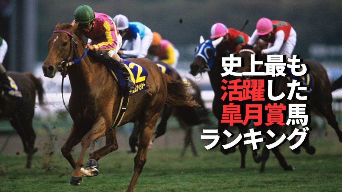 皐月賞馬の活躍ランキングBEST5