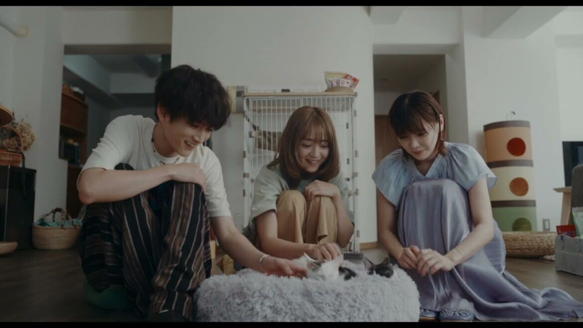 映画『三日月とネコ』予告編