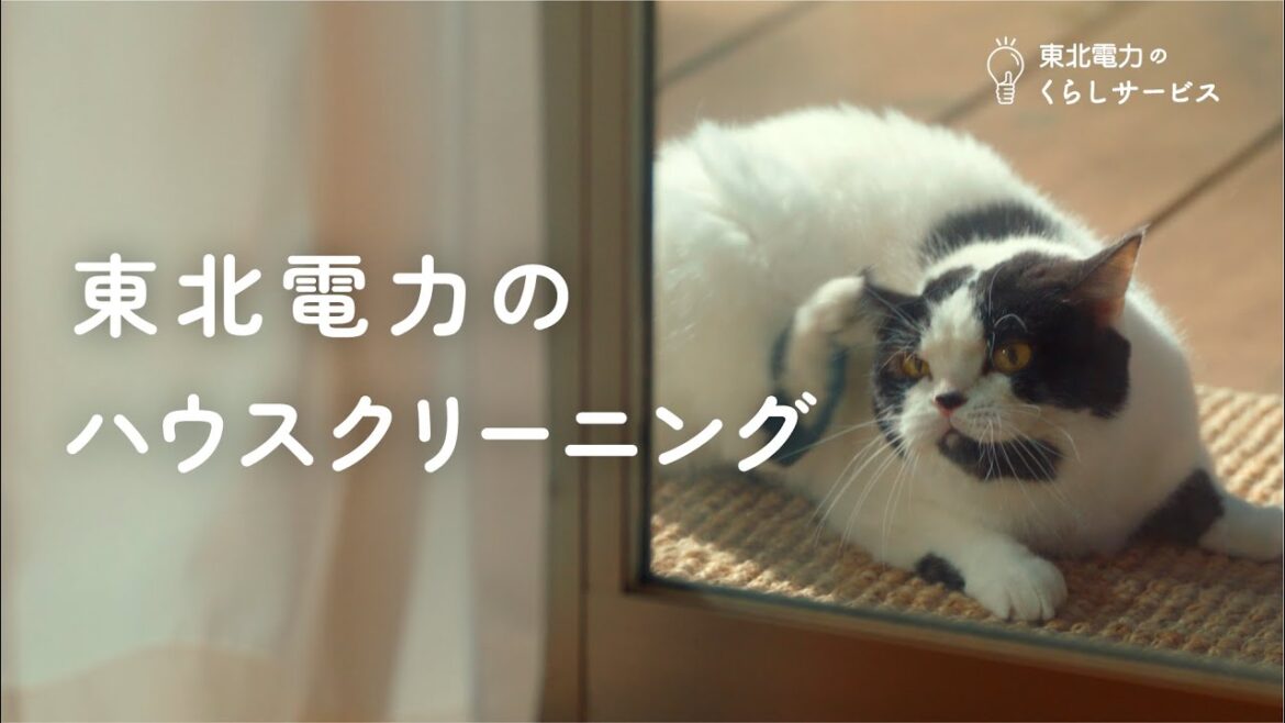 「東北電力　ハウスクリーニング」篇（15秒）