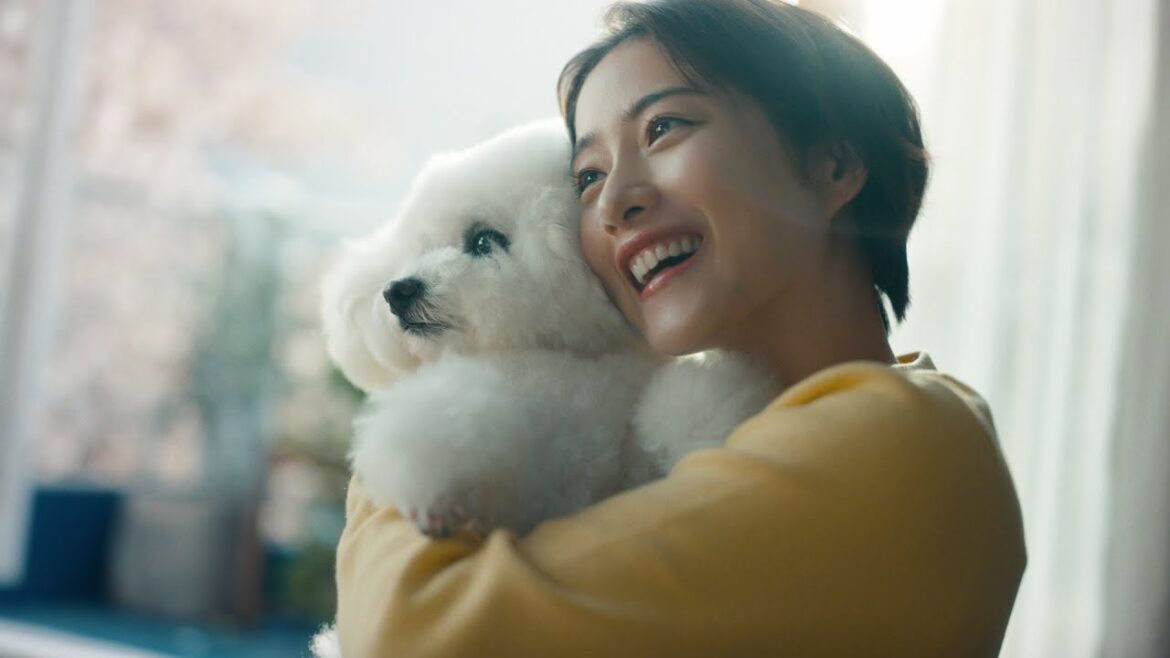 石原さとみ、モフモフの愛犬抱っこ！ペット愛が暴走!?／NTTドコモCM