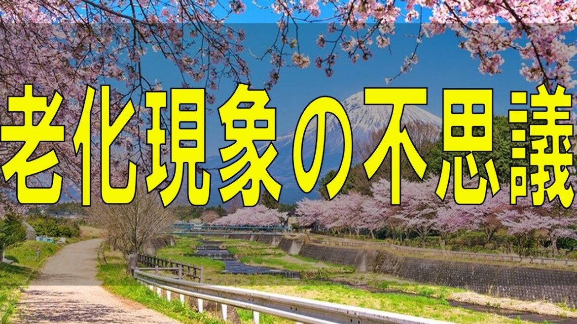 武田鉄矢今朝の三枚おろし  老化現象の不思議。とんでもないところに伸びる毛の謎。そして人類の生存戦略として「老い」があるのだという。～『若返るクラゲ・老いないネズミ・老化する人間』