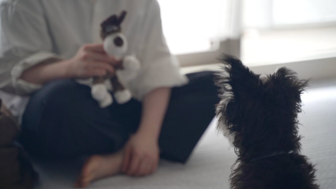 【ご報告】家族が増えました｜新しい暮らしが始まる