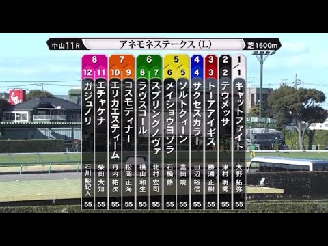 【アネモネステークス<桜花賞TR>】R6.3/10(L/中山・芝1600m ラジオ実況版) 【アネモネステークス<桜花賞TR>】R6.3/10(L/中山・芝1600m ラジオ実況版)