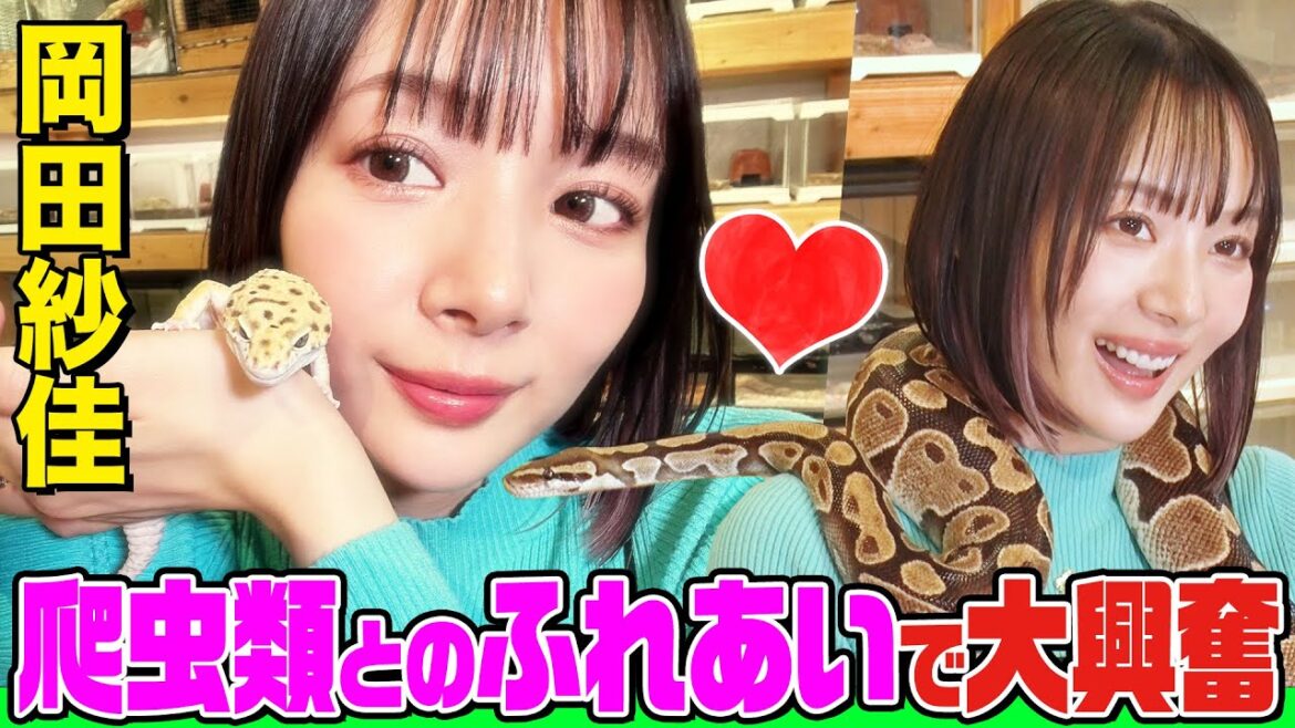 Mリーガー岡田紗佳が爬虫類カフェでヘビ&トカゲに大興奮！生きた虫のエサやりで悶絶！好きな男性のタイプも告白【岡田紗佳、動画ためしてみました】