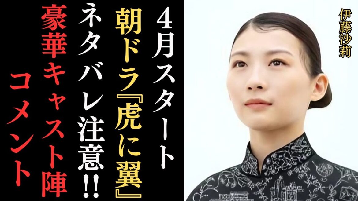 朝ドラ『虎の翼』日本初の女性弁護士・三淵嘉子さんがモデルのリーガルエンターテイメント‼ヒロイン・伊藤沙莉をはじめ、石田ゆり子、仲野太賀、岩田剛典、ハ・ヨンスなど豪華キャストが勢ぞろい‼