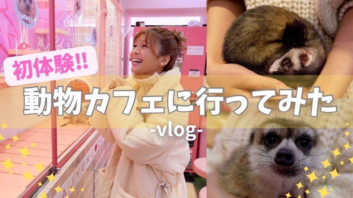 動物カフェに潜入‼️可愛すぎて感情が崩壊した🥺