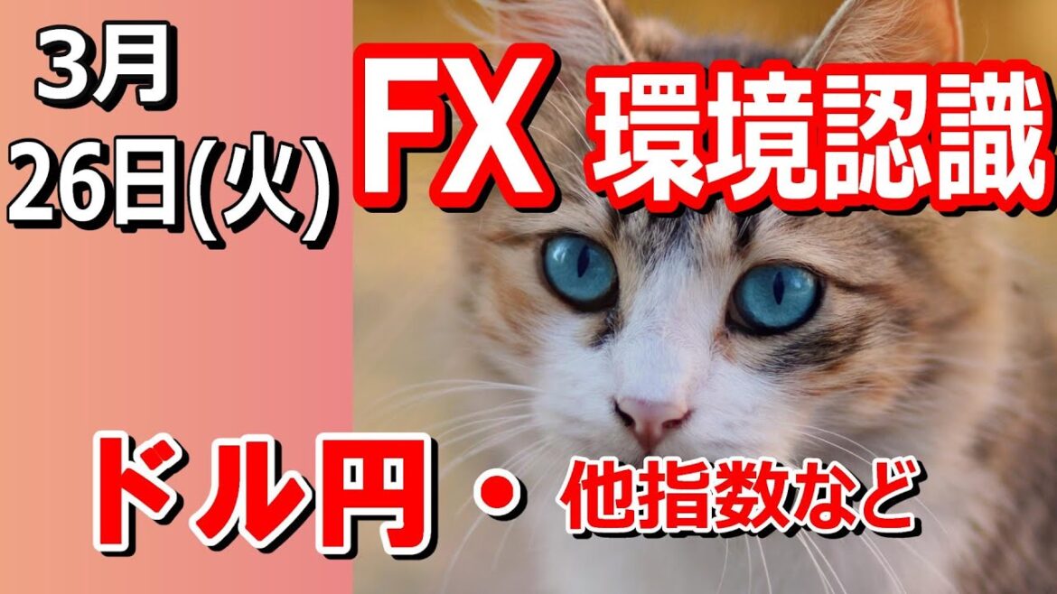 【TAKA FX】ドル円他各通貨の環境認識解説。各種指数、GOLDなど　3月26日(火)