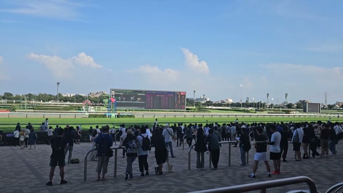 セントウルステークス2023（中山競馬場の様子）