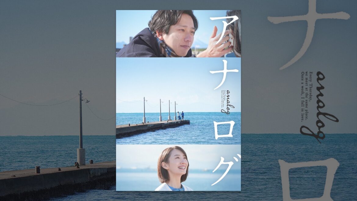 アナログ