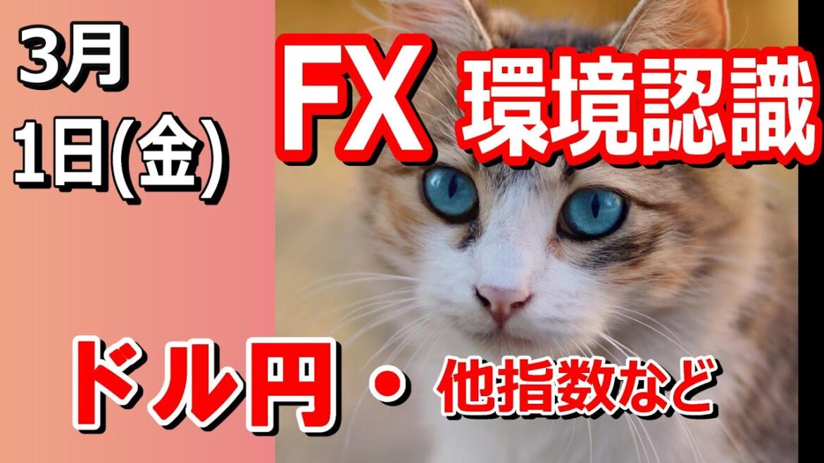 【TAKA FX】ドル円他各通貨の環境認識解説。各種指数、GOLDなど　3月1日(金)